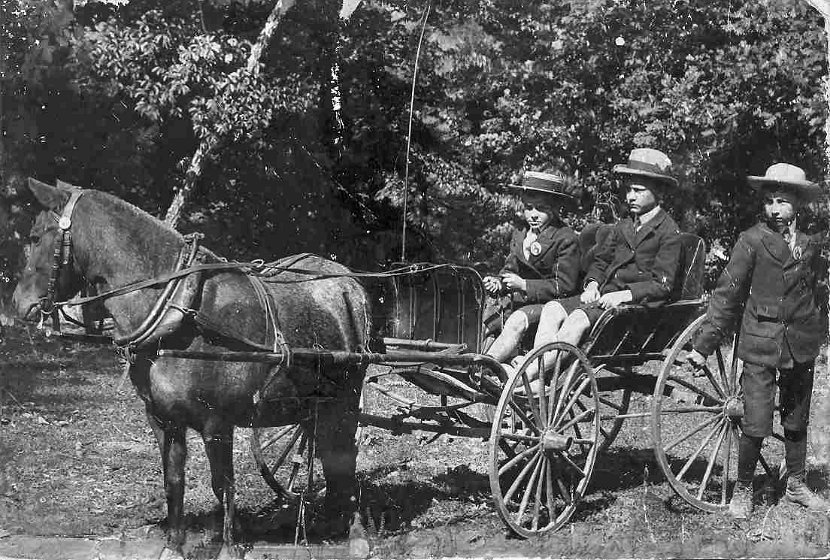 68_twyman_stewart_sons_edwin_albert_ralph