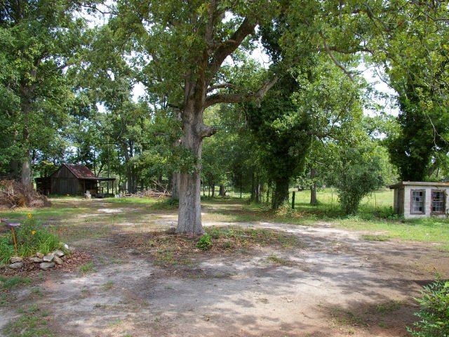 38_property20