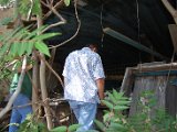 DSC_0246.JPG