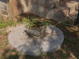 dsc_0266.jpg