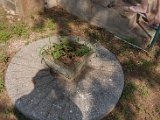 dsc_0267.jpg