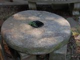 DSC_0217.JPG