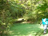 DSC_0225.JPG
